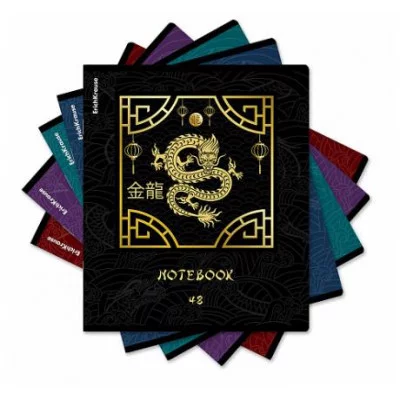 Тетрадь общая ученическая ErichKrause Драконы 48 листов клетка матовая ламинация+выборочный +тиснение фольгой 60615