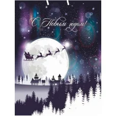 Dream cards Пакет подарочный с мат.лам.и тис.фол.26х32х10см(L)Волшебная луна,190г(соб.раз.)ПКП-6679