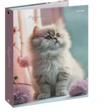 Тетрадь КЛЕТКА 80л. СВЕТЛЫЙ КОТЁНОК И ЦВЕТЫ (Т80-2346) (на кольцах) Т80-2346