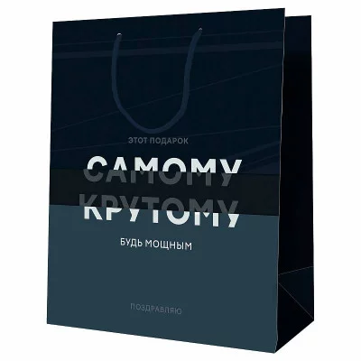 Пакет подарочный 1шт 18*23*10см MESHU "Самому крутому", ламинированный 354757