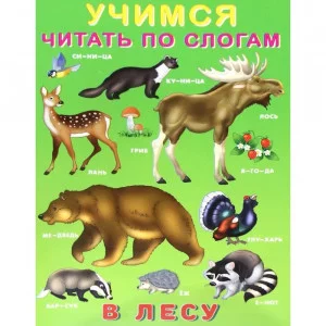 В лесу, Фламинго, Серия "Учимся читать по слогам" 9785783329029