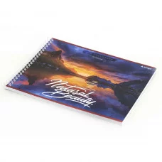 Альбом для рисования 245*195 мм, 40л, Alingar, гребень 210г/м2  «Natural beauty» AL10775