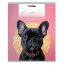 Тетрадь ЛИНИЯ 18л. МИКС-4293 обл.-мел.карт, 18-4315