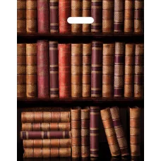 Пакет полиэтиленовый "Стопка книг" (36,5смх48см) ПП-9967