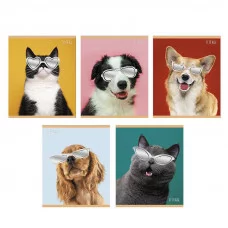 Тетрадь А5 48л "Стиляги"  КанцЭксмо ТКФ488459