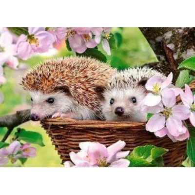 Пазл-midi Castorland "Ежики" 120 элементов 3319/B6-13319