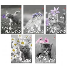 Блокнот А6, 40 л. гребень, ламинированный картон, клетка, Альт, Котята 3-40-028 111288