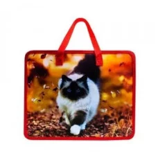 Папка школьная для тетрадей А4 на молнии с ручками "Осенний кот", пластик, 33.5*26*10 см. 6015 Josef Otten¶/1 /12 /0 /96 365527