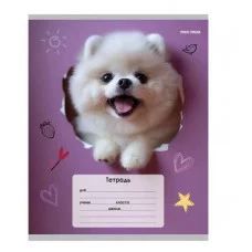 Тетрадь КЛЕТКА 18л. ОБАЯТЕЛЬНЫЕ ПЁСИКИ обл.-мелов.картон, 18-4310