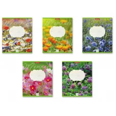 Тетрадь школьная ученическая ErichKrause Цветущие луга, 24 листа, линейка 49232