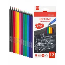 Карандаши цв, набор ФЛОРЕНЦИЯ черный пластик, гекс.12цв. (КЦ-1523)гриф.d=2,8 мм,в к/к,  КЦ-1523