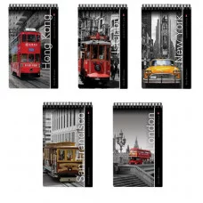 Блокнот А5, 40 л. гребень, ламинированный картон, клетка, Альт, Города 3-40-463 111285