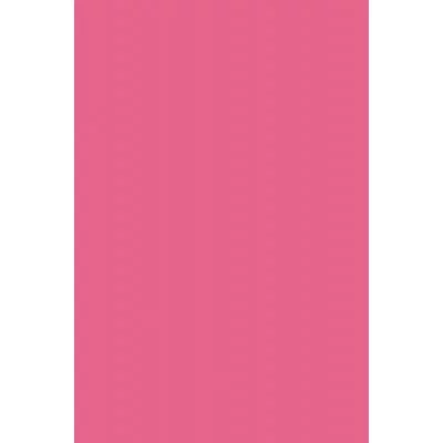 Цв. тонированная бумага А4, 10л. ПЭТ малиновый С3036-12