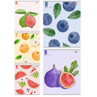 Тетрадь КЛЕТКА 48л.ФРУКТЫ И ЯГОДЫ - 1 (48-3799) цвет. мелов. обл. 48-3799