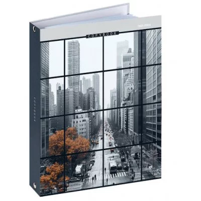 Тетрадь КЛЕТКА 80л. ВИД НА МЕГАПОЛИС (Т80-4897), на кольцах, глянцевая ламинац, лен Т80-4897