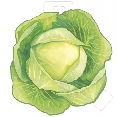 Плакат КАПУСТА 29.477.00