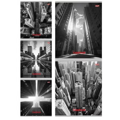 Тетрадь КЛЕТКА 48л. МЕГАПОЛИС В ЧЁРНО-БЕЛОМ (48-5748) цвет. мелов. обл. 48-5748