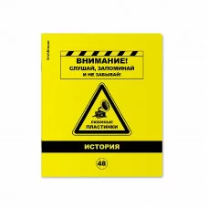 Тетрадь общая ученическая с пластиковой обложкой на скобе ErichKrause Be Informed, История, 48 листов, клетка 59488
