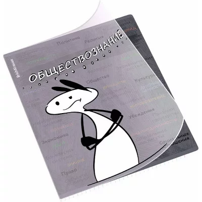 Тетрадь общая ученическая с пластиковой обложкой на скобе ErichKrause Чубрик, Обществознание, 48 листов, клетка 59477