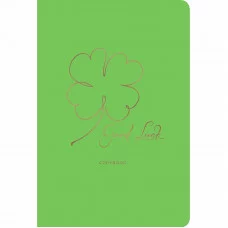 Sweet apple. Дизайн 4 Тетради А4-, 40л. Скрепка. Обл.: цветной дизайнерский картон тиснение фольгой бронза,титул.лист, внутренний блок 70 г. клетка. скр.уг.