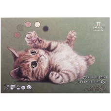 Планшет для пастелей 15л А4 Лилия Холдинг Теплые цвета 160г/м2 5 цветов Холст 192980