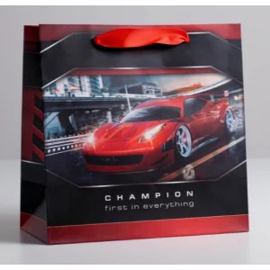 Пакет ламинированный квадратный «Champion», 22 × 22 × 11 см   5226238