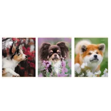 Тетрадь А5 96л "Пушистые друзья" КанцЭксмо ТК968386