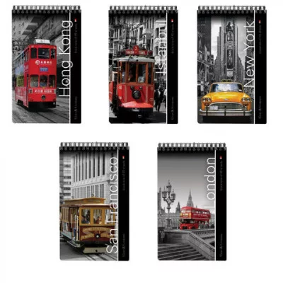 Блокнот А5, 40 л. гребень, ламинированный картон, клетка, Альт, Города 3-40-463 111285