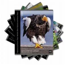 Тетрадь общая ученическая ErichKrause Энциклопедия Красная книга России. Птицы 48 листов клетка глянцевая ламинация 59968