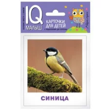 Набор карточек Умный малыш. Птицы АЙРИС-пресс 511891