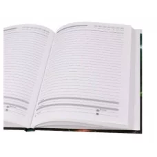 ЕЖЕДНЕВНИК А5,128л. ТУМАННЫЙ ЛЕСНОЙ ПЕЙЗАЖ (128-9902) 7БЦ, матовая лам, пена гл,недат 128-9902