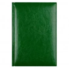 Ежедневник А5 недат. 145х205 176 л. AVANZO DAZIARO BIRMINGHAM зелен. кож/зам без отд. 115564