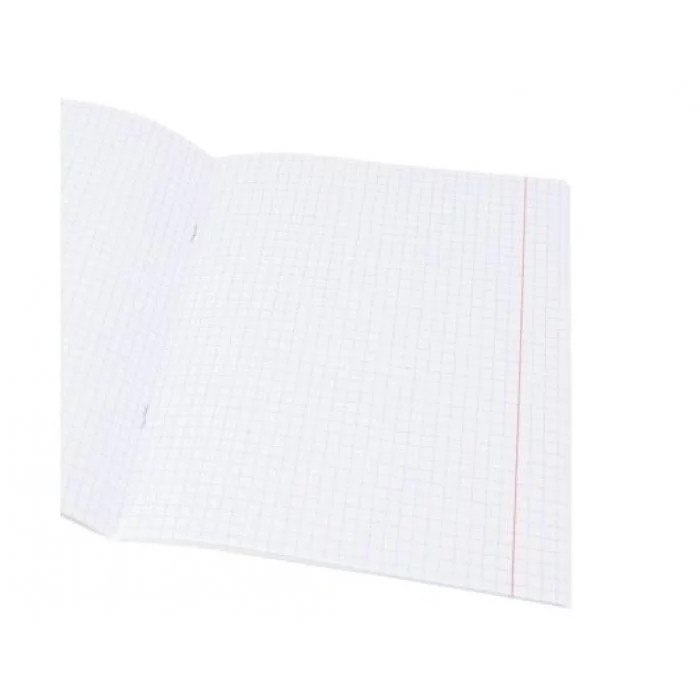 Тетрадь КЛЕТКА 96л. ЖИЗНЬ ЧЁРНЫХ КОТИКОВ (цвет.мелов.обл. перевертыши) 96-8433