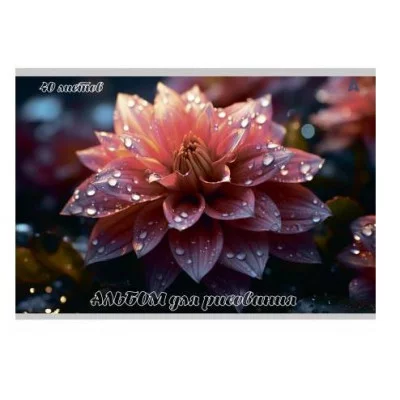 Альбом для рисования А4 40л., Alingar, на скрепке, мелованный картон (стандарт), 100 г/м2,  "Цветы", 2 дизайна в пленке т/у AL13158