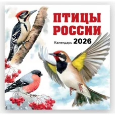 Птицы России. Календарь настенный на 2026 год (300х300 мм) 978-5-04-216920-5
