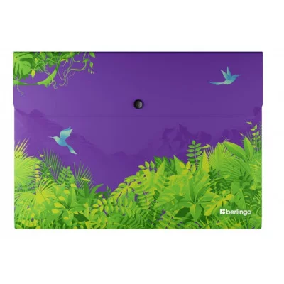 Папка-конверт на кнопке Berlingo "Flower Art", А4, 330мкм, с рисунком 369322