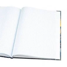 ЗАПИСНАЯ КНИГА А4 80л. ПТИЦЫ НАД ГОРОДОМ (Б80-0856) перепл. 7БЦ, глянц.ламинация Б80-0856