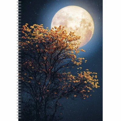 Тетрадь (студ., офис) А4 60л "Лунная ночь"  КанцЭксмо
