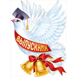 Плакат Голубь Выпускник 22.174.00