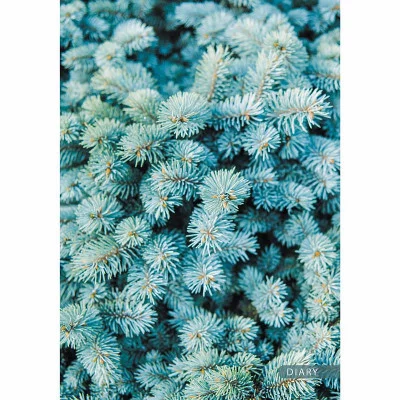 Ежедневник А5 192л "Ель"  КанцЭксмо