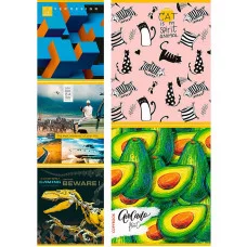 TM"Profit"Тетрадь КЛЕТКА 96л. МИКС 7912 (96-7912)  (обл. - мелов.картон) 5 дизайнов ПП-00153926