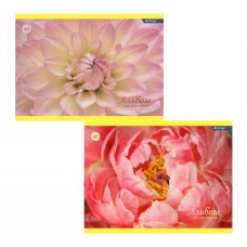 Альбом для рисования А4 40л Alingar на скрепке мелованный картон (стандарт) 210г/м2 офсет 100 г/м2 Розовая нежность AL11429