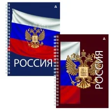 Тетрадь 96л., А4, клетка, Alingar, "Россия", гребень, блок офсет, мелованный картон AL13314