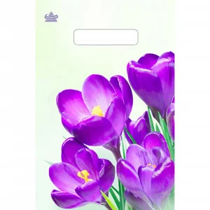 Пакет Крокусы 30*20 (30мкм) (ТИКО) 1101-ПрР