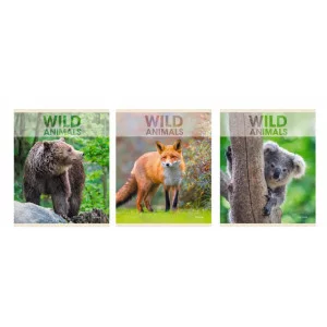 Тетрадь А5 96л "Wild animals" КанцЭксмо ТЛ968377