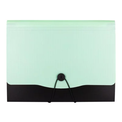 Папка-картотека Alingar, A4, 330х250 мм, на пуговице, пластик, 600 мкм, 13 отделений, папка-планшет, мятный клапан AL12822