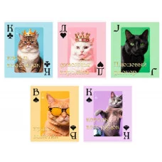 Тетрадь А5 96л "ПокерКОТ"  КанцЭксмо ТФЛ969282