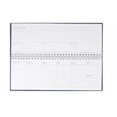 ПЛАНИНГ 56л. недатир.СИНИЙ (56-1495) гребень, бумвинил 56-1495