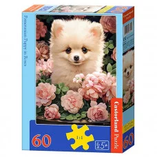 Пазлы 60 "Щенок померанского шпица в розах" В-066261