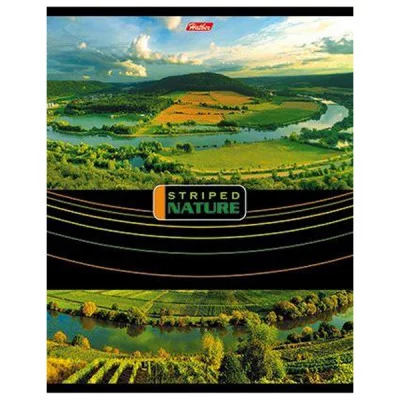 Тетрадь 96л А5ф ЛИНИЯ на скобе серия -Полосатый мир-